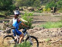 Cycling safari